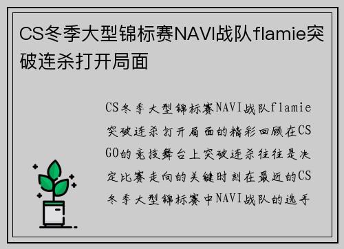 CS冬季大型锦标赛NAVI战队flamie突破连杀打开局面