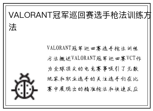 VALORANT冠军巡回赛选手枪法训练方法