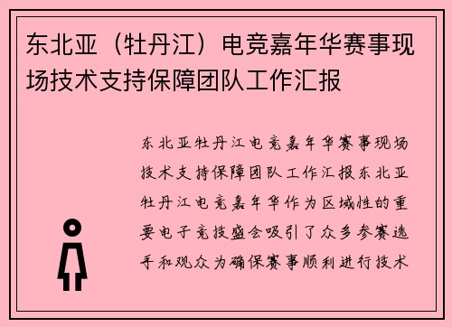 东北亚（牡丹江）电竞嘉年华赛事现场技术支持保障团队工作汇报