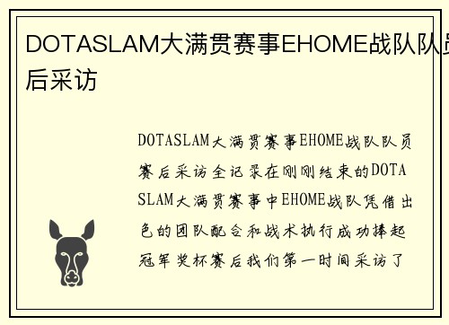 DOTASLAM大满贯赛事EHOME战队队员赛后采访