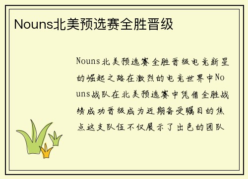 Nouns北美预选赛全胜晋级