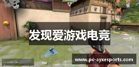 发现爱游戏电竞